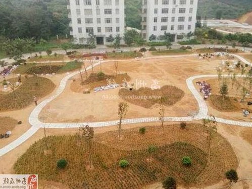 小娱乐吃瓜酱揭秘：娱乐圈背后的爆料动态与玄学真相